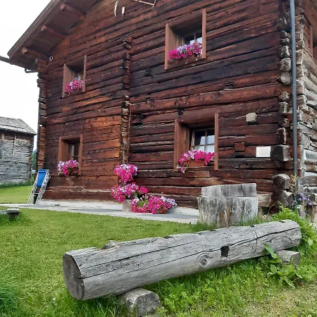 Bait Dossalt Ливиньо